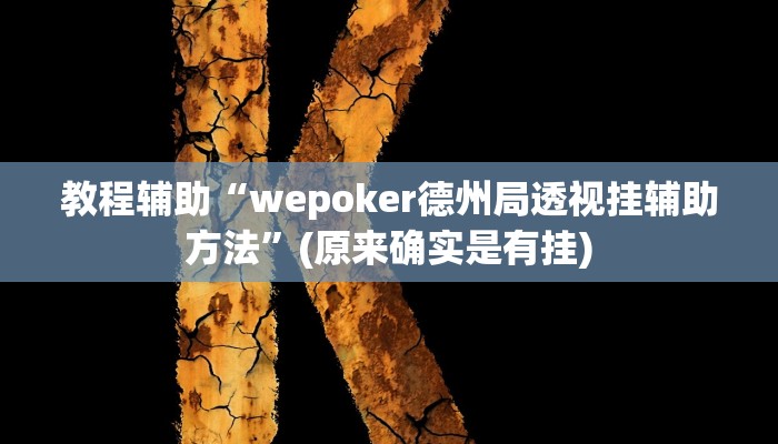 教程辅助“wepoker德州局透视挂辅助方法”(原来确实是有挂)