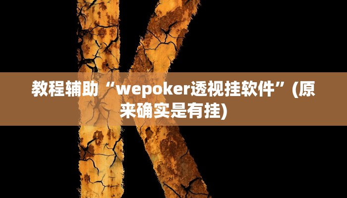 教程辅助“wepoker透视挂软件”(原来确实是有挂)