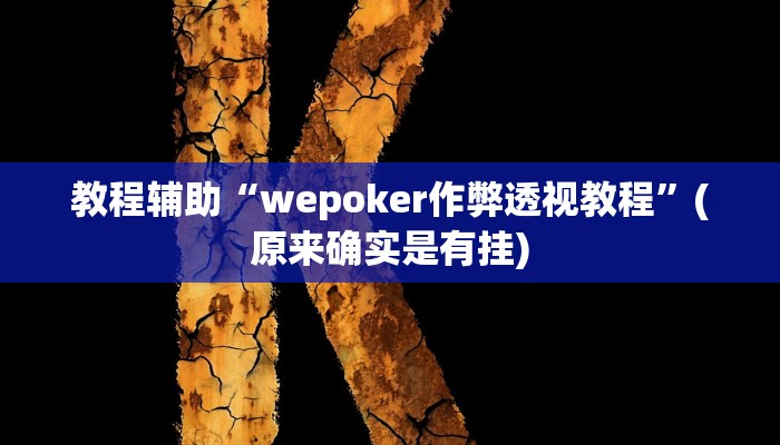 教程辅助“wepoker作弊透视教程”(原来确实是有挂)
