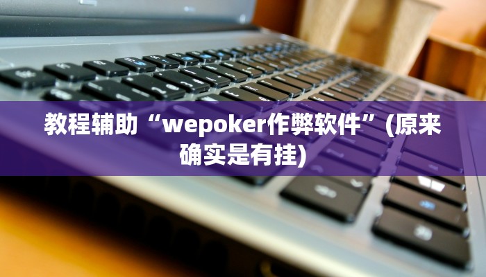教程辅助“wepoker作弊软件”(原来确实是有挂)