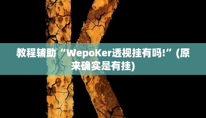 教程辅助“WepoKer透视挂有吗!”(原来确实是有挂)
