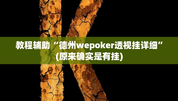 教程辅助“德州wepoker透视挂详细”(原来确实是有挂)
