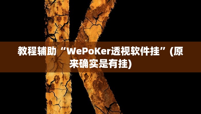 教程辅助“WePoKer透视软件挂”(原来确实是有挂)