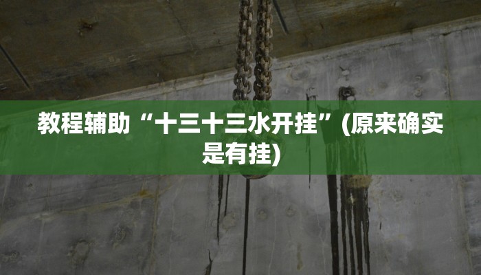 教程辅助“十三十三水开挂”(原来确实是有挂)