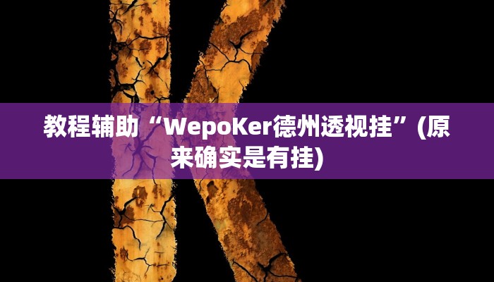 教程辅助“WepoKer德州透视挂”(原来确实是有挂)