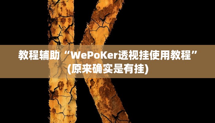 教程辅助“WePoKer透视挂使用教程”(原来确实是有挂)