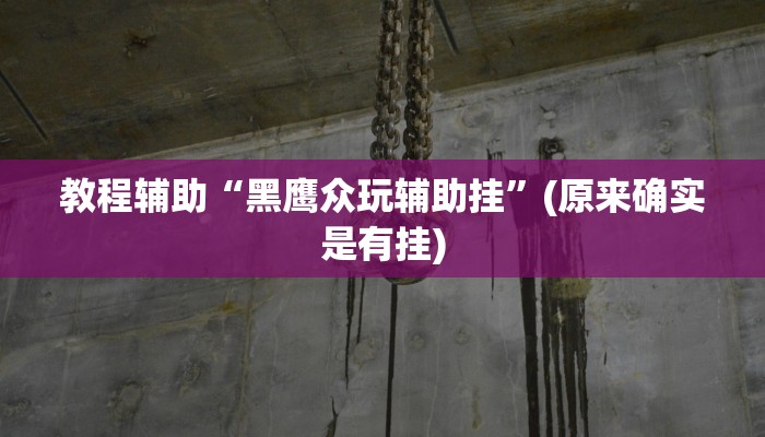 教程辅助“黑鹰众玩辅助挂”(原来确实是有挂)