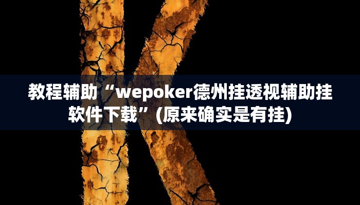 教程辅助“wepoker德州挂透视辅助挂软件下载”(原来确实是有挂)