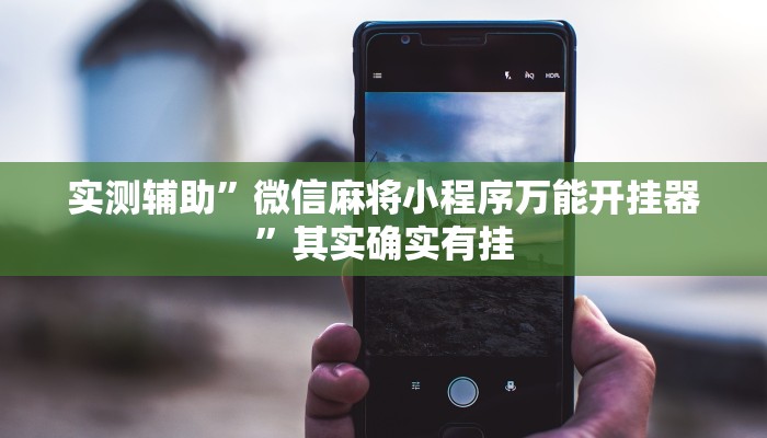 实测辅助”微信麻将小程序万能开挂器”其实确实有挂