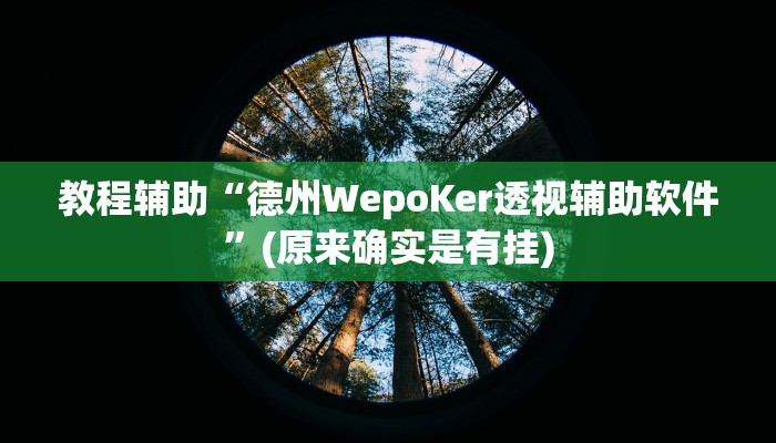 教程辅助“德州WepoKer透视辅助软件”(原来确实是有挂)