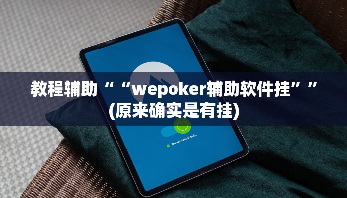 教程辅助““wepoker辅助软件挂””(原来确实是有挂)