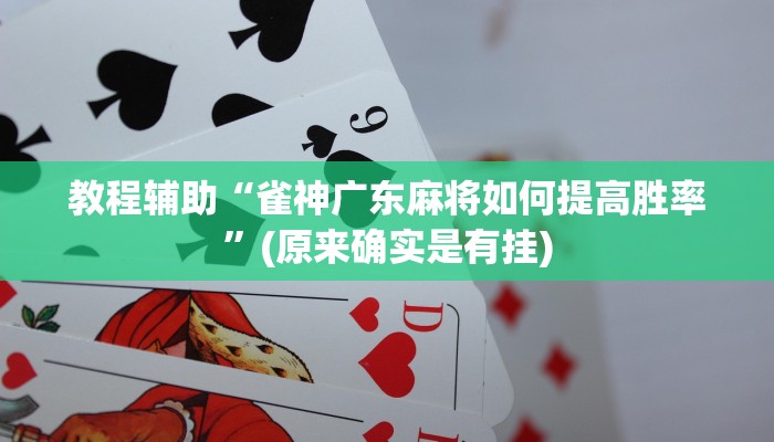 教程辅助!“朱雀开心罗松可以开挂吗”其实确实有挂