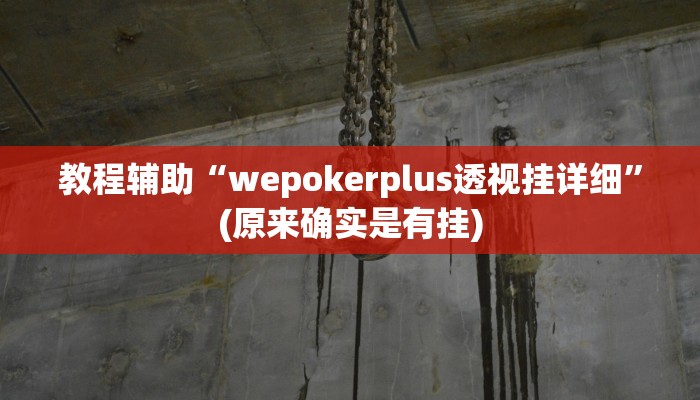 教程辅助“WePoker私人局开挂怎么买”(原来确实是有挂)