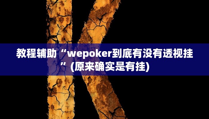 教程辅助“wepoker到底有没有透视挂”(原来确实是有挂)