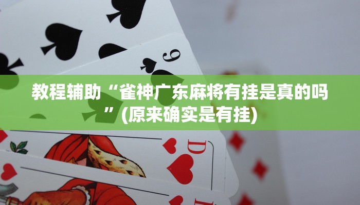 教程辅助“雀神广东麻将有挂是真的吗”(原来确实是有挂)