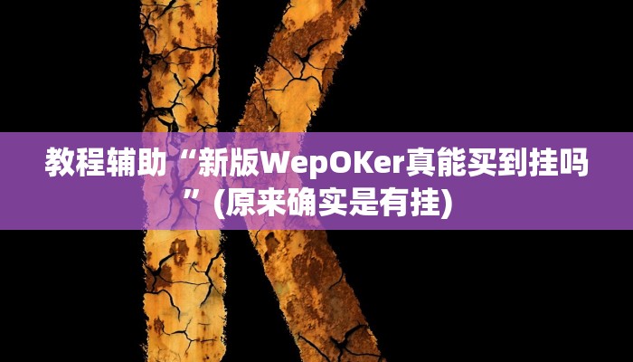 教程辅助“新版WepOKer真能买到挂吗”(原来确实是有挂)