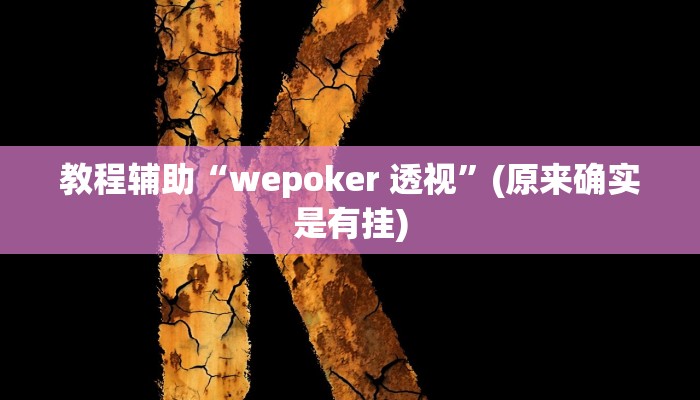 教程辅助“wepoker 透视”(原来确实是有挂)