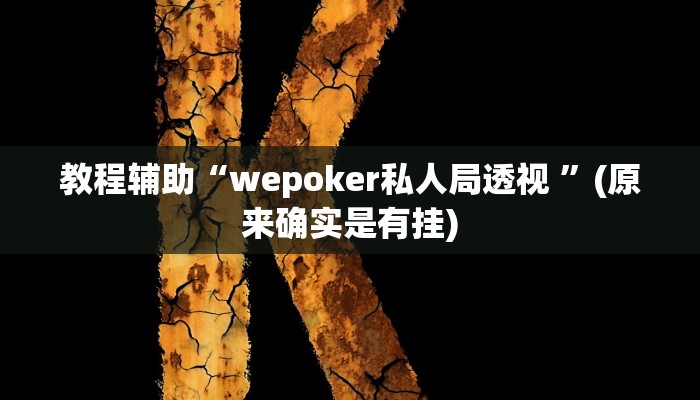 教程辅助“wepoker私人局透视 ”(原来确实是有挂)