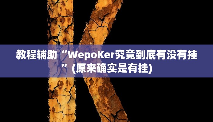 教程辅助“德扑之星透视挂辅助”(原来确实是有挂)