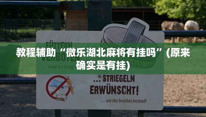 教程辅助“微乐湖北麻将有挂吗”(原来确实是有挂)