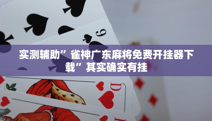 实测辅助”雀神广东麻将免费开挂器下载”其实确实有挂