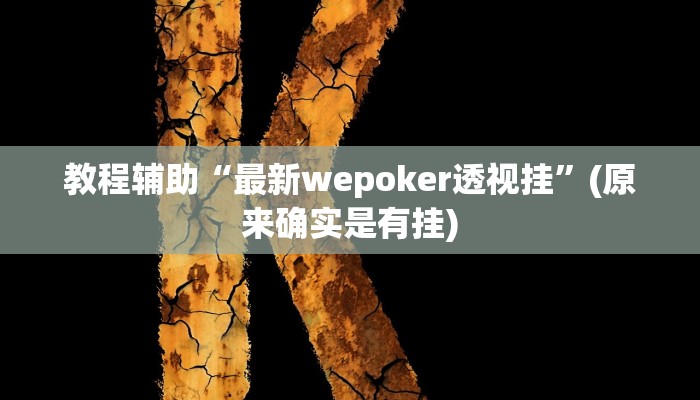 教程辅助“最新wepoker透视挂”(原来确实是有挂)