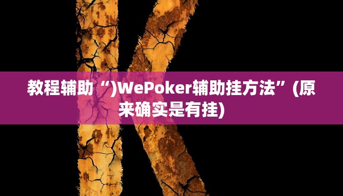 教程辅助“)WePoker辅助挂方法”(原来确实是有挂)