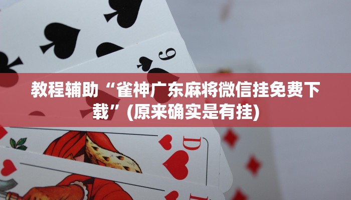 教程辅助“雀神广东麻将微信挂免费下载”(原来确实是有挂)
