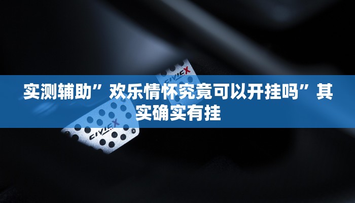 实测辅助”欢乐情怀究竟可以开挂吗”其实确实有挂