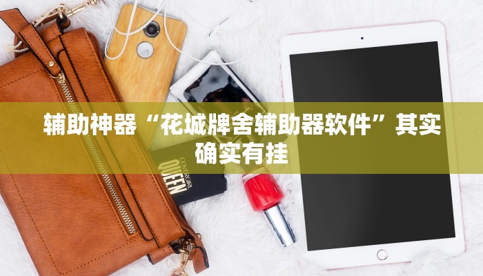 辅助神器“花城牌舍辅助器软件”其实确实有挂
