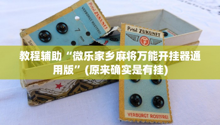 教程辅助“微乐家乡麻将万能开挂器通用版”(原来确实是有挂)