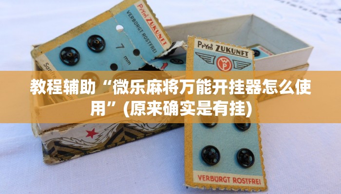 教程辅助“微乐麻将万能开挂器怎么使用”(原来确实是有挂)