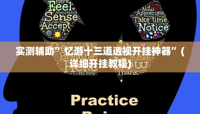 实测辅助”忆游十三道透视开挂神器”(详细开挂教程)