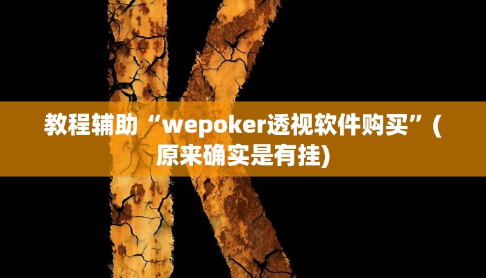 教程辅助“wepoker透视软件购买”(原来确实是有挂)