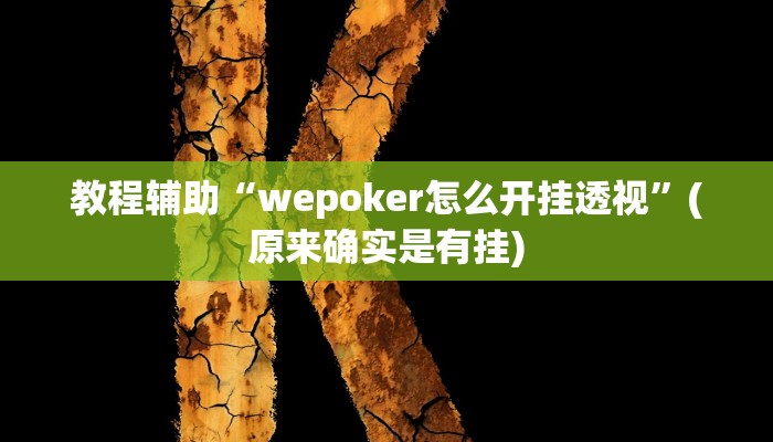 教程辅助“wepoker怎么开挂透视”(原来确实是有挂)