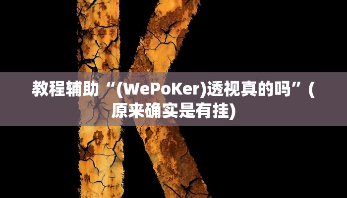 教程辅助“(WePoKer)透视真的吗”(原来确实是有挂)