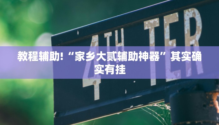 教程辅助!“家乡大贰辅助神器”其实确实有挂