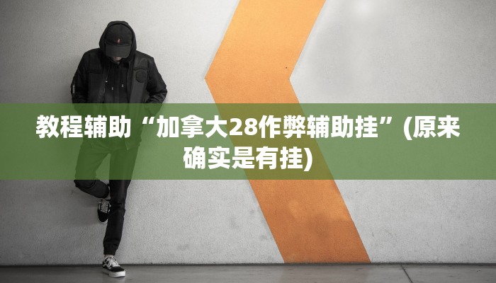教程辅助“加拿大28作弊辅助挂”(原来确实是有挂)