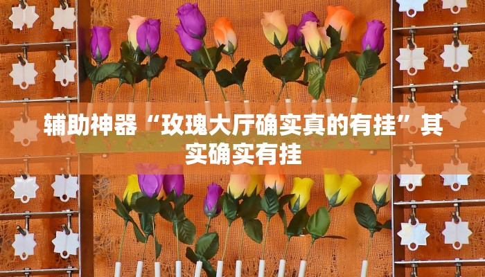 辅助神器“玫瑰大厅确实真的有挂”其实确实有挂