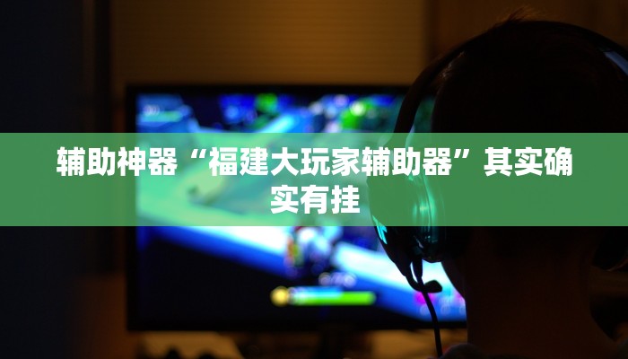 辅助神器“福建大玩家辅助器”其实确实有挂