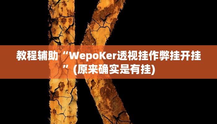 教程辅助“WepoKer透视挂作弊挂开挂”(原来确实是有挂)