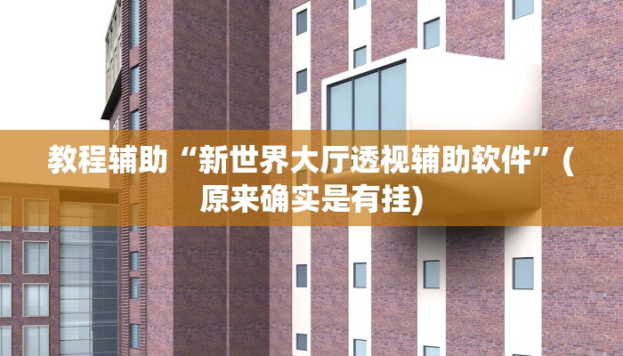 教程辅助“新世界大厅透视辅助软件”(原来确实是有挂)