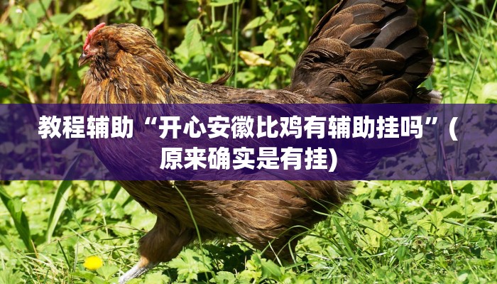 教程辅助“开心安徽比鸡有辅助挂吗”(原来确实是有挂)