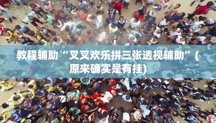 教程辅助“叉叉欢乐拼三张透视辅助”(原来确实是有挂)