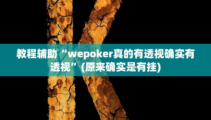 教程辅助“wepoker真的有透视确实有透视”(原来确实是有挂)