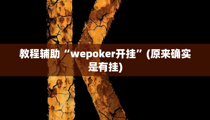教程辅助“wepoker开挂”(原来确实是有挂)