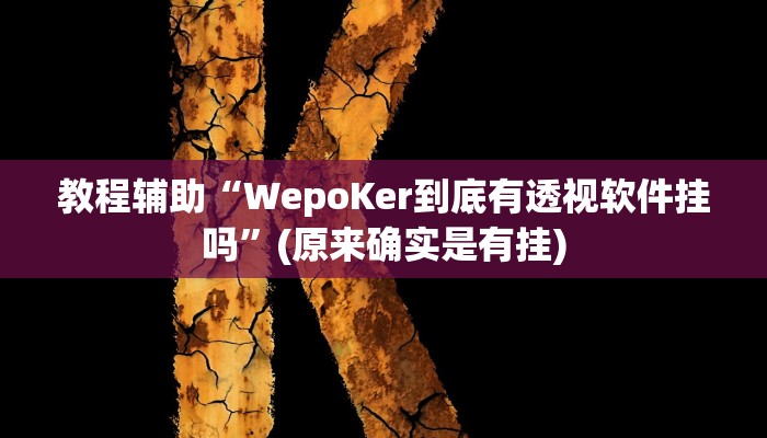 教程辅助“WepoKer到底有透视软件挂吗”(原来确实是有挂)