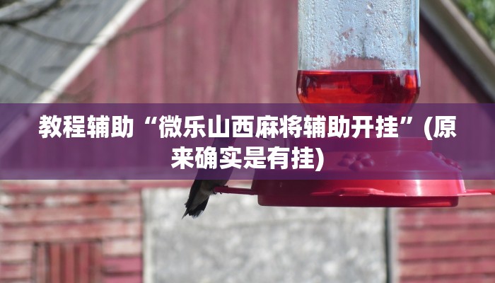 教程辅助“微乐山西麻将辅助开挂”(原来确实是有挂)