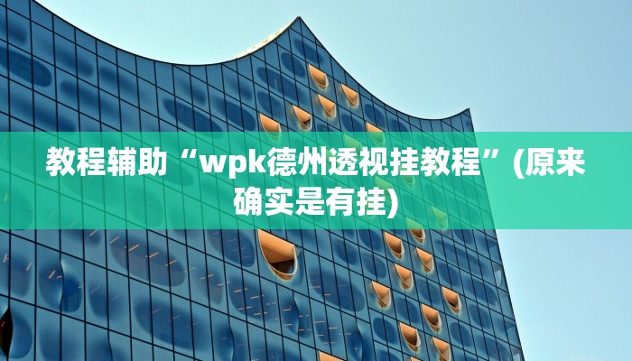 教程辅助“wpk德州透视挂教程”(原来确实是有挂)