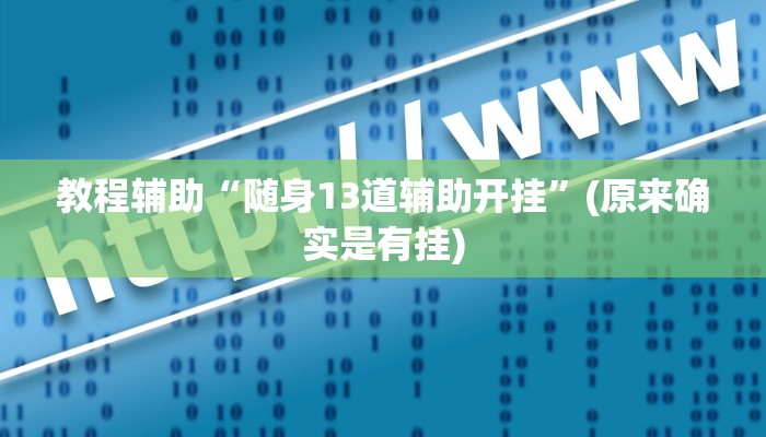 教程辅助“随身13道辅助开挂”(原来确实是有挂)